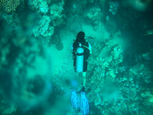 Quels sont les meilleurs spots pour faire de la plongée sous-marine avec des raies manta aux Maldives?